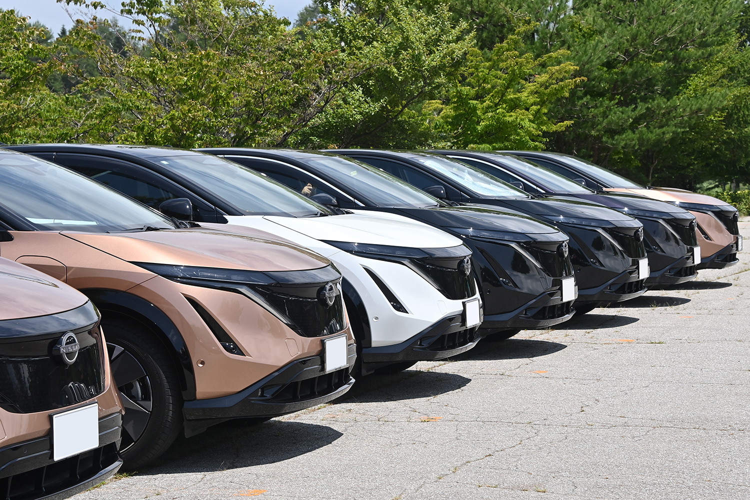 EV下取り買取相場2026 - 車種別データとSOH劣化の査定術